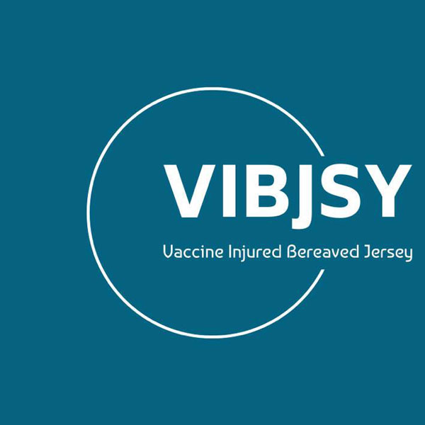 VIBJSY logo